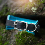 Aurora, 2" Wide Custom Leather Dog Collar *NEW DESIGN*