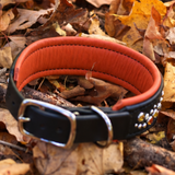 Candy Corn | Fall Inspired Limited Edition Leather Collar