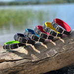 Colorful dog collars on a log with a natural background
