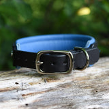 Charm, 1.25" Leather Dog Collar