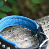 Charm, 1.25" Leather Dog Collar