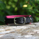 Charm, Pink 1.25" Leather Dog Collar