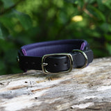 Charm, Purple 1.25" Leather Dog Collar
