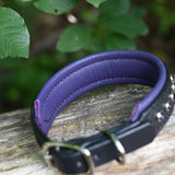 Charm, Purple 1.25" Leather Dog Collar
