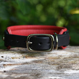 Charm, Red 1.25" Leather Dog Collar