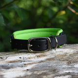 Charm, Green 1.25" Leather Dog Collar