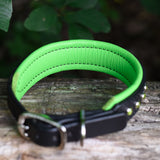 Charm, Green 1.25" Leather Dog Collar