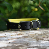Charm, Yellow 1.25" Leather Dog Collar