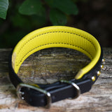Charm, Yellow 1.25" Leather Dog Collar