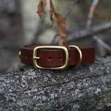Chili, 3/4" wide Medium Brown Leather Dog Collar