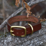 Chili, 3/4" wide Medium Brown Leather Dog Collar