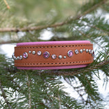 Chili, 1.25" wide Cheddar Leather Dog Collar, size 12"-15"