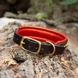 Chili Leather Dog Collar, 1.25" wide Oranges on Chocolate Leather