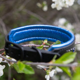 Chili, 1.25" wide Black Leather Dog Collar, size 10"-13"