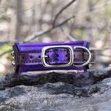 Coven, Limited Edition - 10 collars
