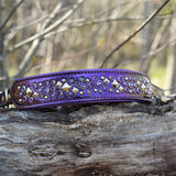 Coven, Limited Edition - 10 collars