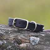 Siri, 3/4" wide, size 9"-12"