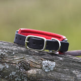 Siri, 1.25" wide, size 10"-13"