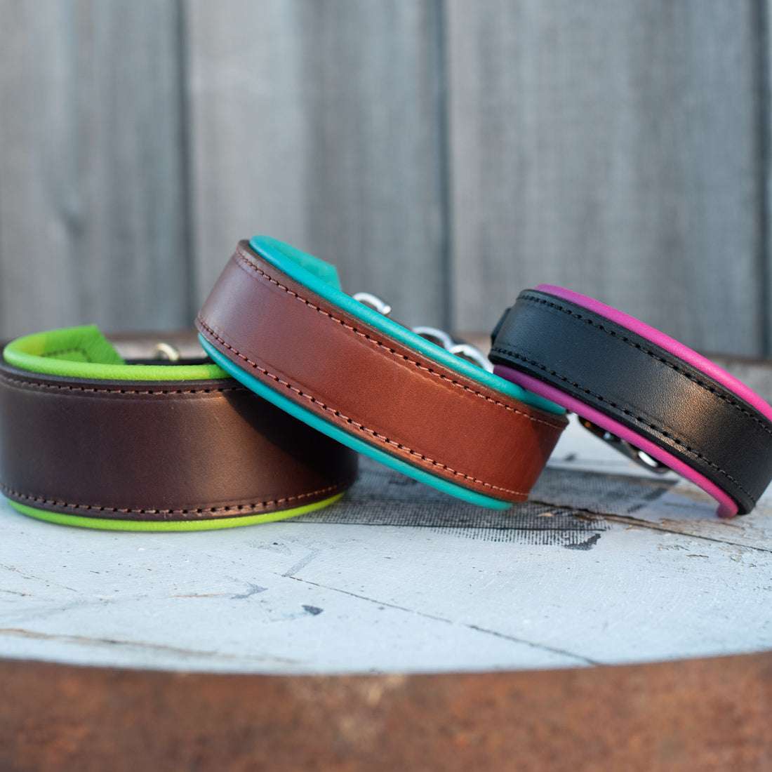 Custom Colles Devon Traditional Custom Padded Leather Dog Collar | Fusion By Design ...