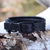 Dragon, 1.5" wide  Black Leather Dog Collar, size 12"-15"