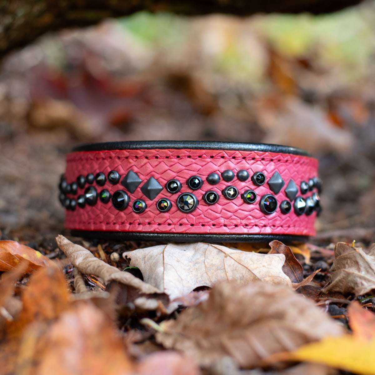 Dragonfire Dragonscale Leather Dog Collar Front