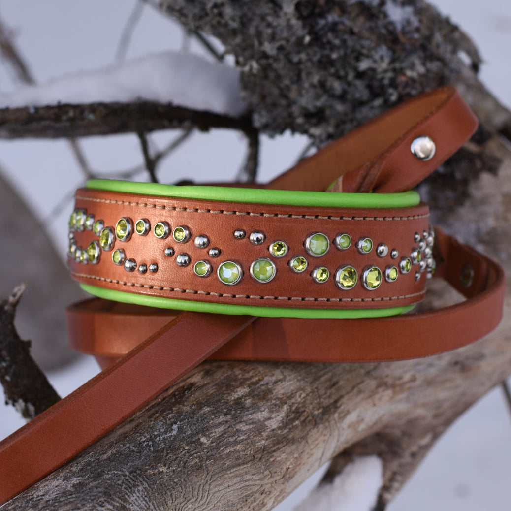 Brown leather dog collar with green interior and decorative studs on a branch.