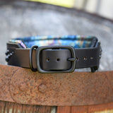 The Focus, 1.75" wide Limited Edition Collar