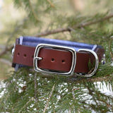 Future, 1.75" wide Brown Leather Dog Collar, size 14"-17"