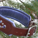 Future, 1.75" wide Brown Leather Dog Collar, size 14"-17"