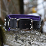 Ganymede, 2" Wide Custom Leather Dog Collar