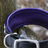 Ganymede, 2" Wide Custom Leather Dog Collar