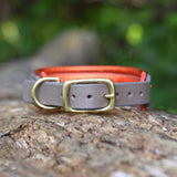 River, 1.25" wide Grey Leather Dog Collar, size 12" - 15"