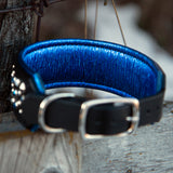 Frost - 1.5" Wide Limited Edition Collar