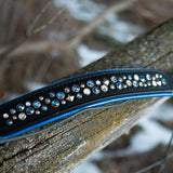 Frost - 1.5" Wide Limited Edition Collar