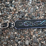 Mini Mardi Gras, 2" Wide Black Leather Dog Collar