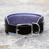 Mini Mardi Gras, 2" Wide Black Leather Dog Collar