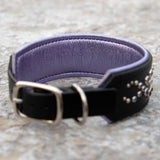 Mini Mardi Gras, 2" Wide Black Leather Dog Collar