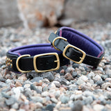 Loch, 1.5" wide Black Leather Dog Collar