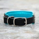Loch, 1.5" wide Teal on Black Leather Dog Collar