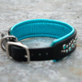 Loch, 1.5" wide Teal on Black Leather Dog Collar