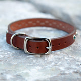 Pico, 3/4" wide Brown Leather Dog Collar *NEW DESIGN*