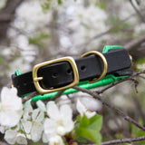 Silas, 1.25" wide Green and Black Leather Dog Collar, size 14"-17"