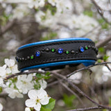 Chili, 1.25" wide Black Leather Dog Collar, size 10"-13"