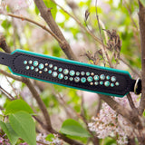 Starlight 1.5" Wide Mint and Black Leather Dog Collar