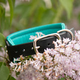 Starlight 1.5" Wide Mint and Black Leather Dog Collar