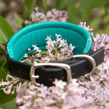 Starlight 1.5" Wide Mint and Black Leather Dog Collar