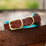 Piper, 1.5" Wide Brown Leather Dog Collar