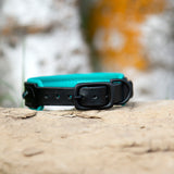 River, 1.25" wide Teal & Black Leather Dog Collar