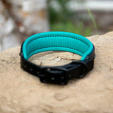River, 1.25" wide Teal & Black Leather Dog Collar
