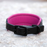 Starlight 1.5" Wide Black Leather Dog Collar